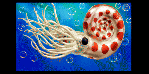 OEKAKI Image: 271uy.png