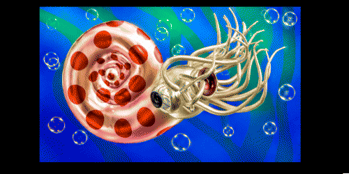 OEKAKI Image: 271uz.png